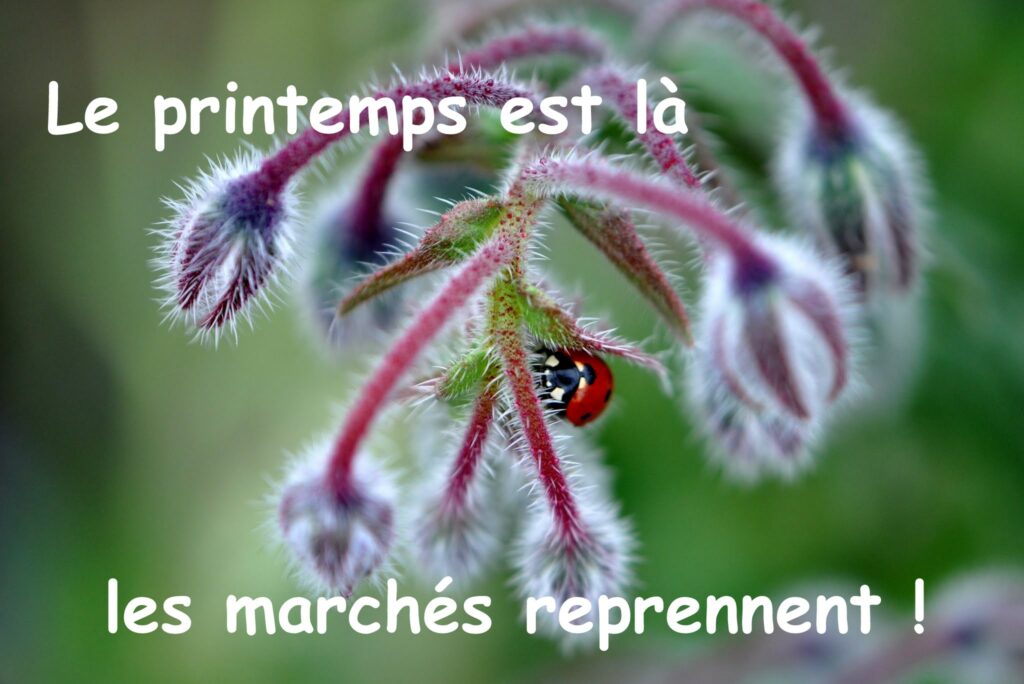 Printemps 2026